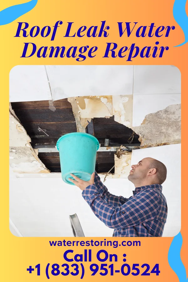 Roof Leak Water Damage Repair in Cushing, IA