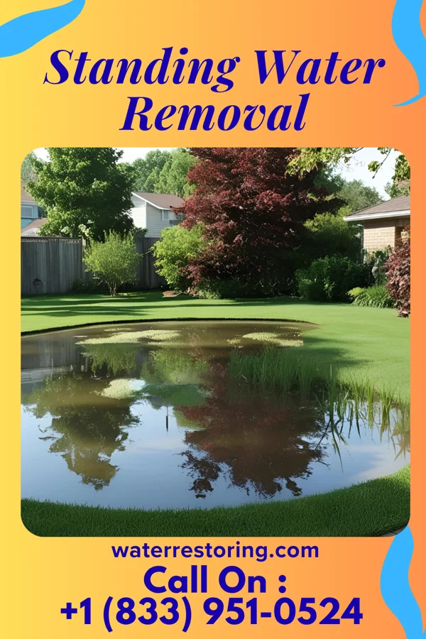 Standing Water Removal in Cushing, IA
